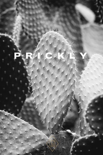 prickly.jpg